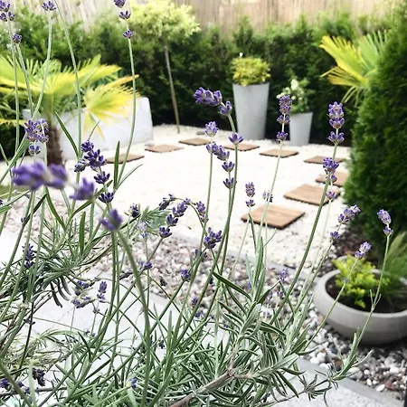 Apartment & Garden In The Old Town *